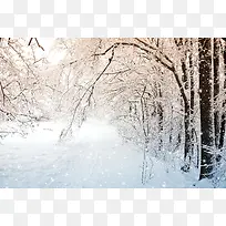 梦幻雪后的树枝雪花-空若网 梦幻雪后的树枝雪花-空若网