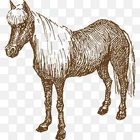 手绘素描河马矢量-空若网 手绘素描河马矢量-空若网