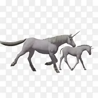 卡通马马素描-空若网 卡通马马素描-空若网