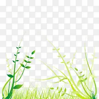 绿色花卉绿草素材-空若网 绿色花卉绿草素材-空若网