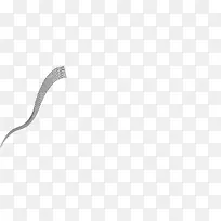 创意曲线-空若网 创意曲线-空若网