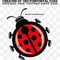 矢量七星瓢虫-空若网 矢量七星瓢虫-空若网