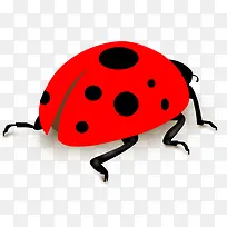 手绘七星瓢虫昆虫卡通-空若网 手绘七星瓢虫昆虫卡通-空若网