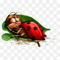 瓢虫-空若网 瓢虫-空若网