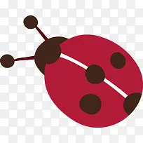 七星瓢虫矢量素材-空若网 七星瓢虫矢量素材-空若网