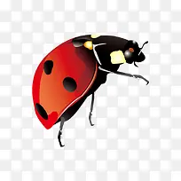 ư���ز�-������