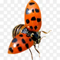 ����ư�涯������-������