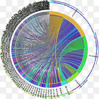 Բ���������������-������