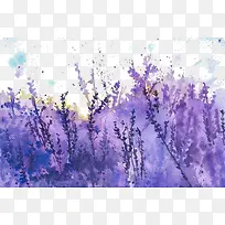 ��ɫ޹�²ݱ���-������