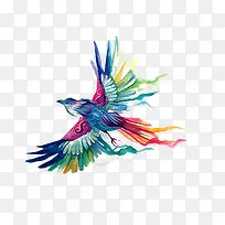 彩色鸟-空若网 彩色鸟-空若网