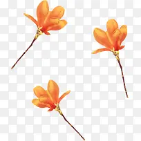 三朵黄花可爱手绘-空若网 三朵黄花可爱手绘-空若网