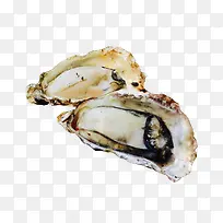 两个烤生蚝海鲜图片素材-空若网 两个烤生蚝海鲜图片素材-空若网