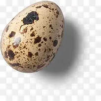 食物鹌鹑蛋-空若网 食物鹌鹑蛋-空若网