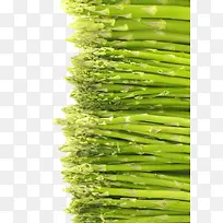 ��ɫ����-������