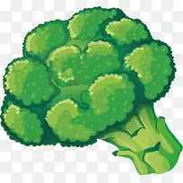 绿色西蓝花-空若网 绿色西蓝花-空若网