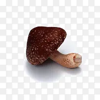 Ïã¹½-¿ÕÈôÍø Ïã¹½-¿ÕÈôÍø