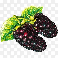 �ֻ���ɫӪ��ˮ��-������