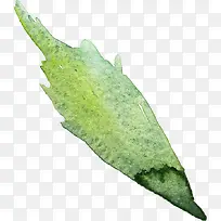 Ë®²ÊÊ÷Ò¶-¿ÕÈôÍø Ë®²ÊÊ÷Ò¶-¿ÕÈôÍø