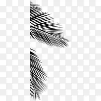 高清摄影手绘黑色树叶-空若网 高清摄影手绘黑色树叶-空若网