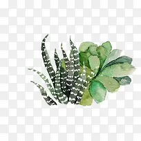 水彩手绘-空若网 水彩手绘-空若网