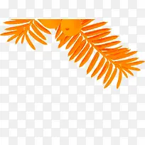 �ֻ��ɫˮ����Ҷ-������