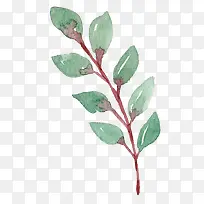 手绘水彩绿树叶装饰-空若网 手绘水彩绿树叶装饰-空若网