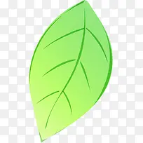 ��Ҷ��ͨ�ֻ�-������