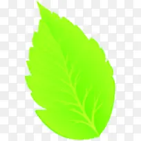 嫩绿卡通可爱树叶-空若网 嫩绿卡通可爱树叶-空若网