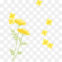 �ֻ��ɫˮ��С��װ��-������