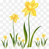 ��ɫС���ɰ�Ψ��-������