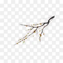 Ê÷Ö¦»ÆÉ«Ð¡»¨-¿ÕÈôÍø Ê÷Ö¦»ÆÉ«Ð¡»¨-¿ÕÈôÍø