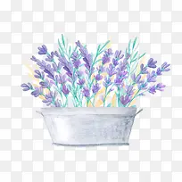 Ψ��޹�²�-������