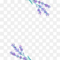 Ψ��޹�²�-������