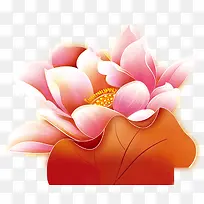 中秋节粉花橙色叶子-空若网 中秋节粉花橙色叶子-空若网