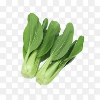 油菜蔬菜绿色食品-空若网 油菜蔬菜绿色食品-空若网