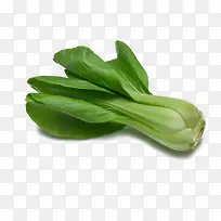 ¸ßÇåÓͲË-¿ÕÈôÍø ¸ßÇåÓͲË-¿ÕÈôÍø