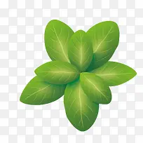 手绘绿色的小油菜-空若网 手绘绿色的小油菜-空若网