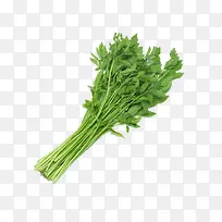 绿色的蔬菜-空若网 绿色的蔬菜-空若网