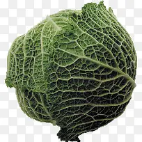 Êß²Ë-¿ÕÈôÍø Êß²Ë-¿ÕÈôÍø