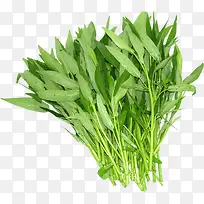 �߲�-������