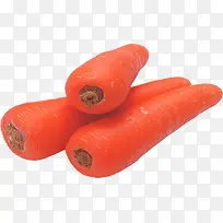 蔬菜-胡萝卜-空若网 蔬菜-胡萝卜-空若网