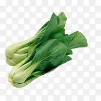 �߲��Ͳ�-������