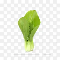 Êß²Ë-¿ÕÈôÍø Êß²Ë-¿ÕÈôÍø