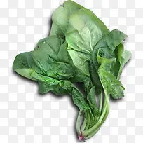 绿色蔬菜-空若网 绿色蔬菜-空若网
