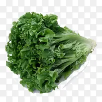 绿色蔬菜-空若网 绿色蔬菜-空若网