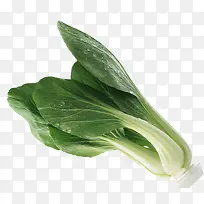 绿色青菜-空若网 绿色青菜-空若网