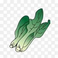 青菜-空若网 青菜-空若网