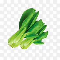 绿色蔬菜-空若网 绿色蔬菜-空若网