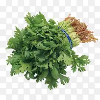 绿色蔬菜-空若网 绿色蔬菜-空若网