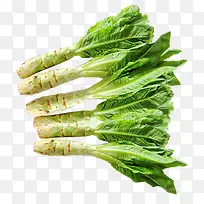 绿色蔬菜-空若网 绿色蔬菜-空若网